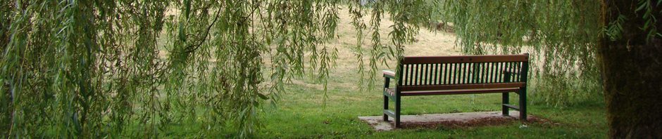 willow-bench